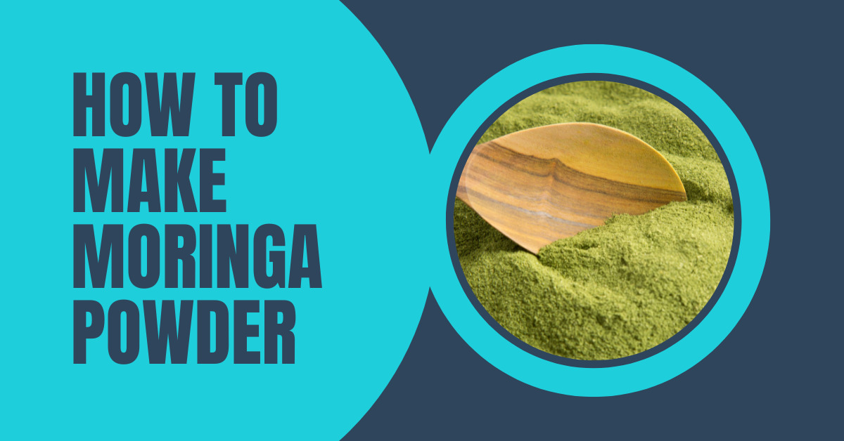 How to Make Moringa Powder: A Step-by-Step Guide - Sunhill Pure